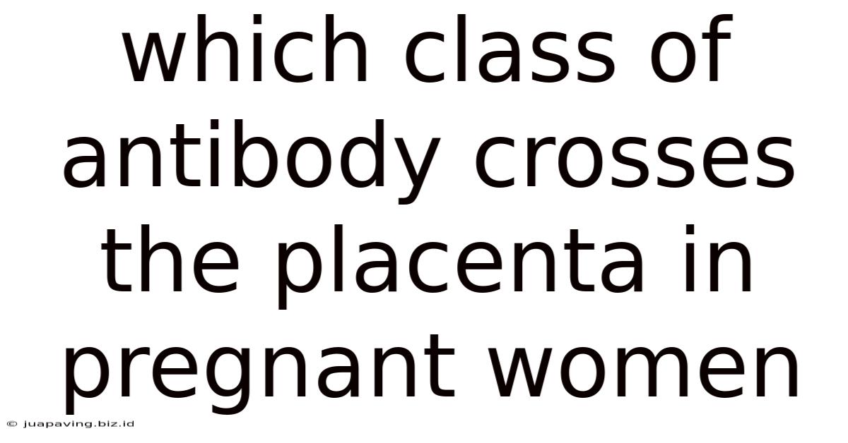 Which Class Of Antibody Crosses The Placenta In Pregnant Women