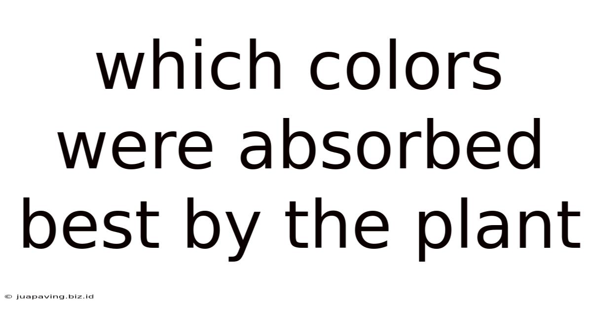 Which Colors Were Absorbed Best By The Plant