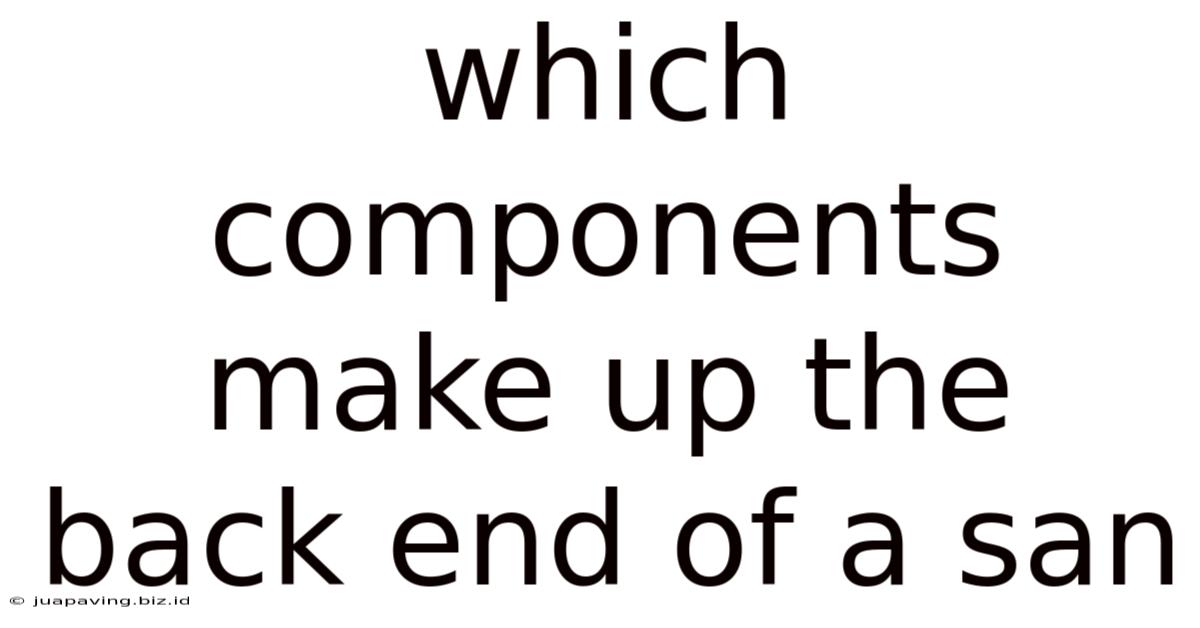 Which Components Make Up The Back End Of A San