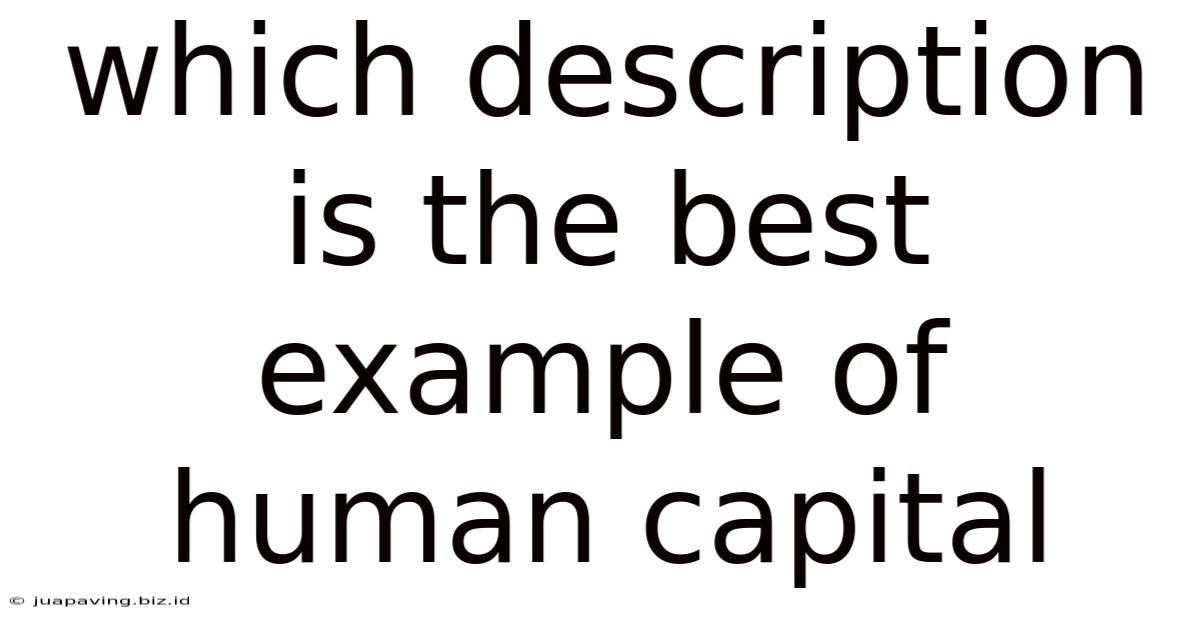 Which Description Is The Best Example Of Human Capital