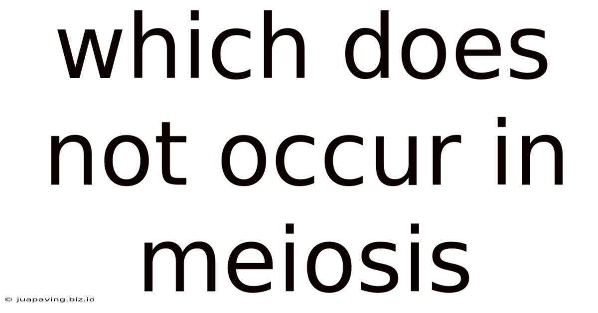 Which Does Not Occur In Meiosis