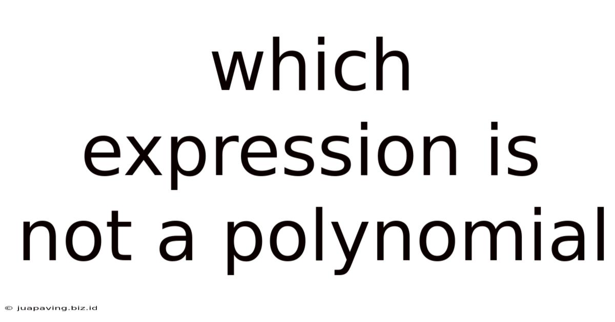 Which Expression Is Not A Polynomial