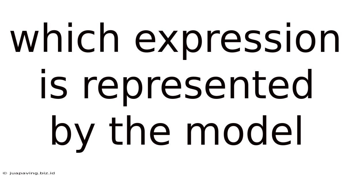 Which Expression Is Represented By The Model