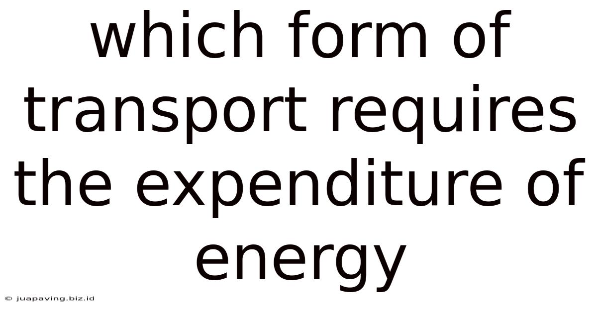Which Form Of Transport Requires The Expenditure Of Energy