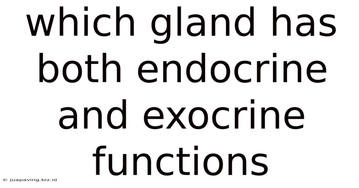 Which Gland Has Both Endocrine And Exocrine Functions