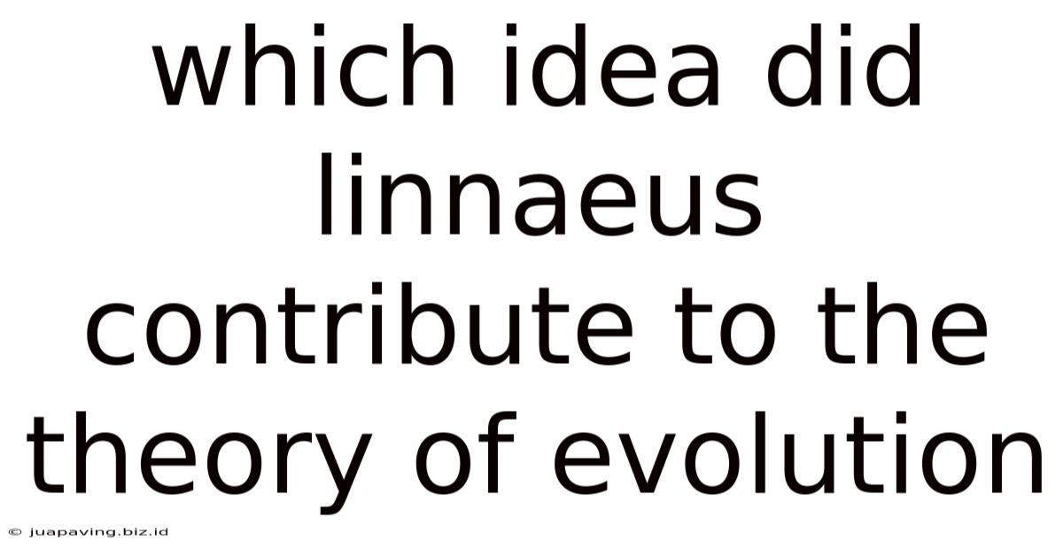Which Idea Did Linnaeus Contribute To The Theory Of Evolution