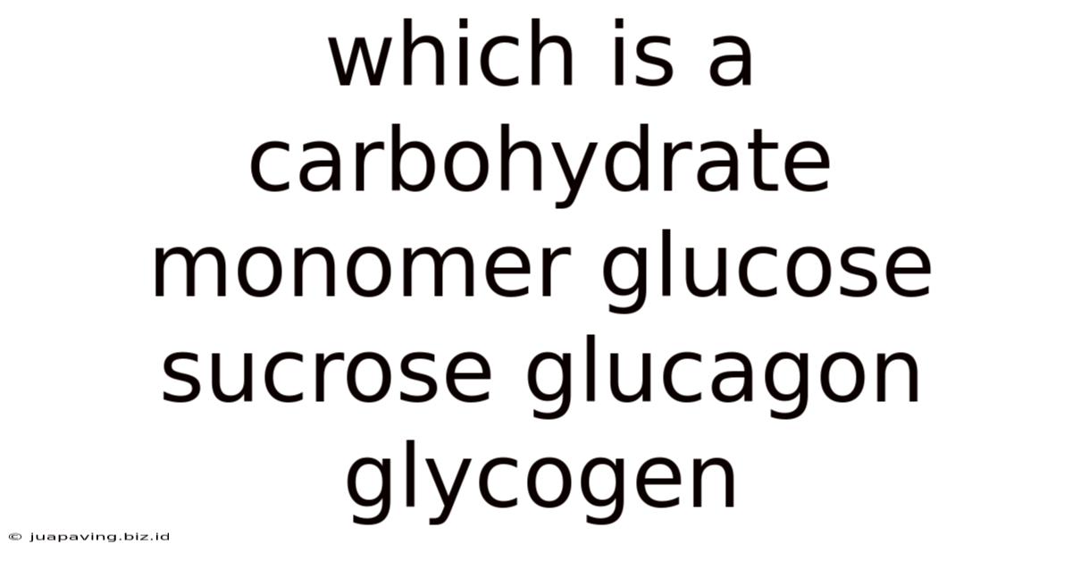 Which Is A Carbohydrate Monomer Glucose Sucrose Glucagon Glycogen