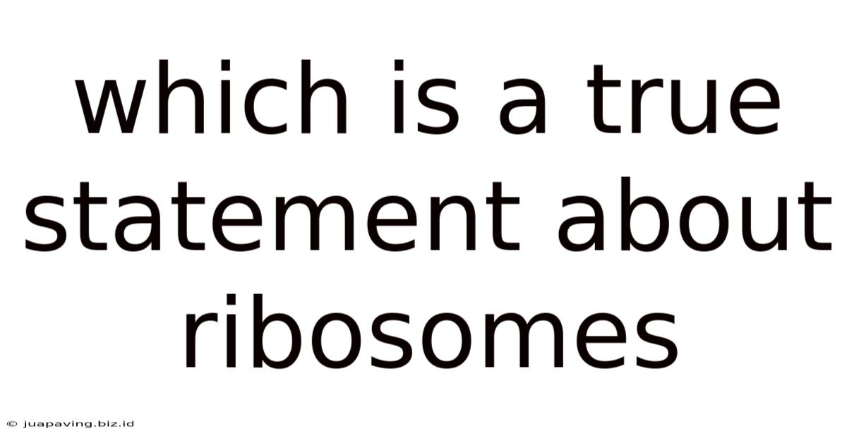 Which Is A True Statement About Ribosomes