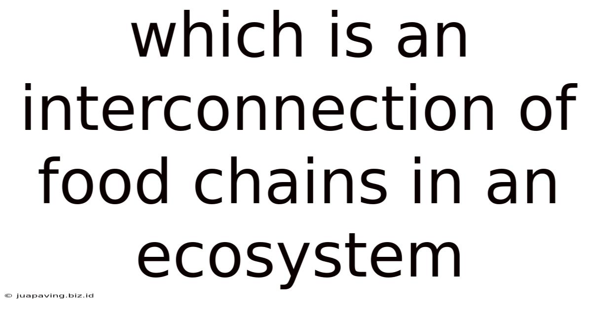 Which Is An Interconnection Of Food Chains In An Ecosystem