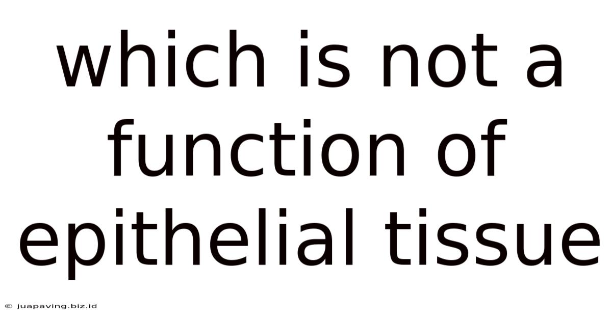 Which Is Not A Function Of Epithelial Tissue