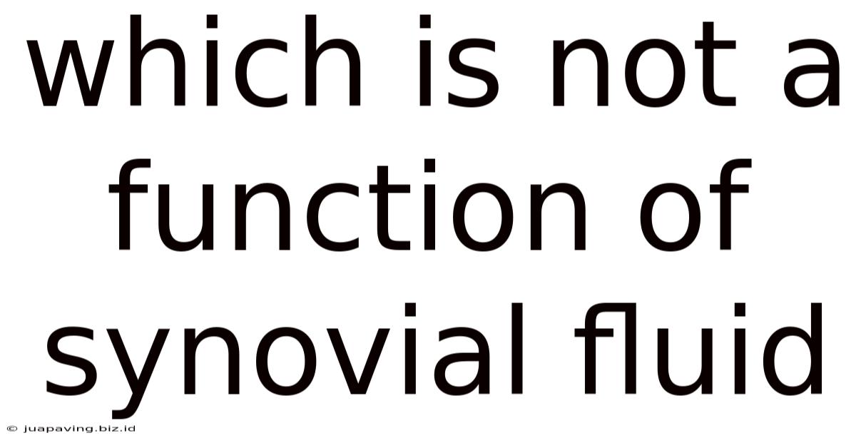 Which Is Not A Function Of Synovial Fluid