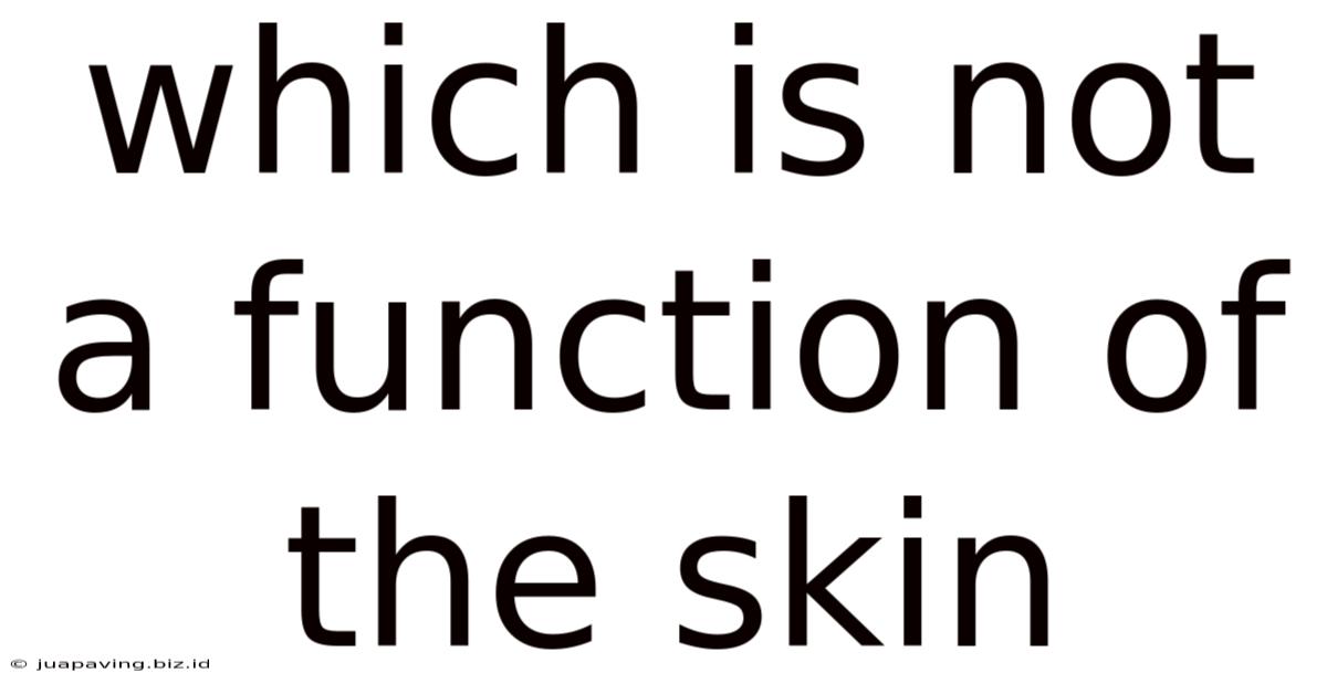 Which Is Not A Function Of The Skin