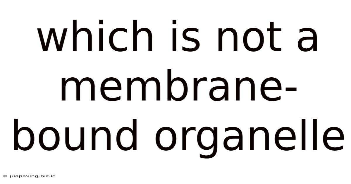 Which Is Not A Membrane-bound Organelle