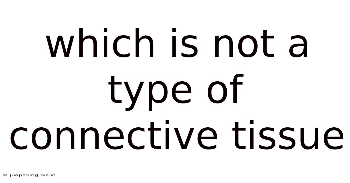 Which Is Not A Type Of Connective Tissue