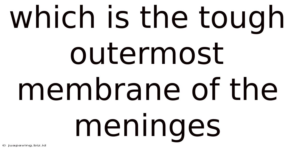 Which Is The Tough Outermost Membrane Of The Meninges