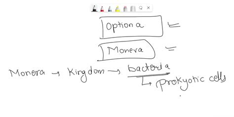 Which Kingdom Does Not Contain Any Eukaryotes