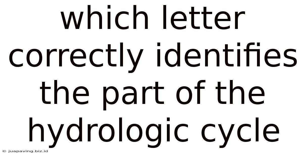 Which Letter Correctly Identifies The Part Of The Hydrologic Cycle