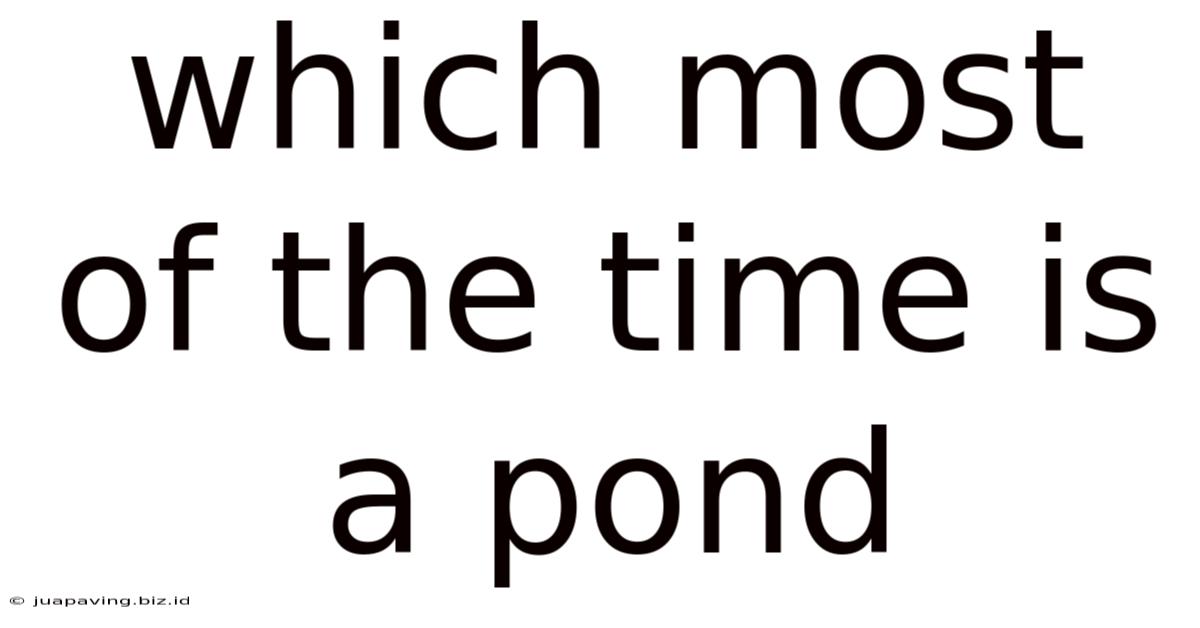 Which Most Of The Time Is A Pond