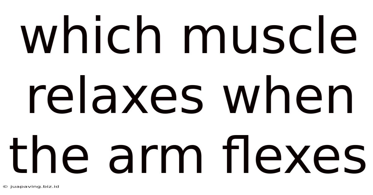 Which Muscle Relaxes When The Arm Flexes