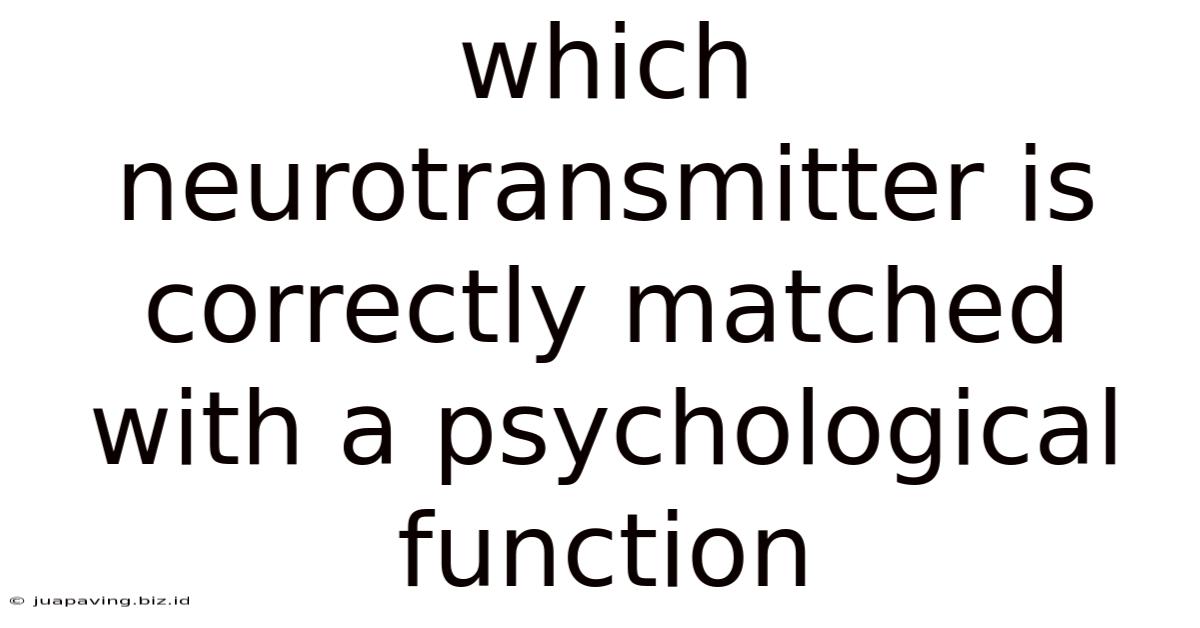 Which Neurotransmitter Is Correctly Matched With A Psychological Function
