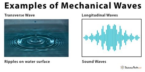 Which Object Is An Example Of A Mechanical Wave