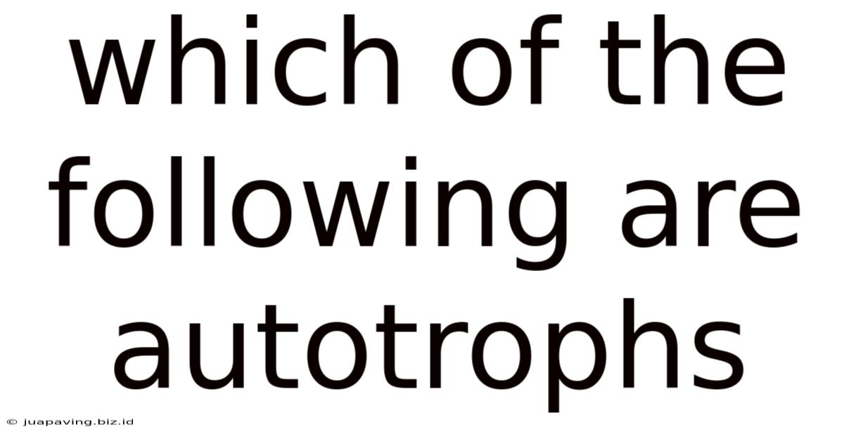 Which Of The Following Are Autotrophs