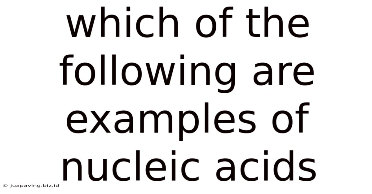 Which Of The Following Are Examples Of Nucleic Acids