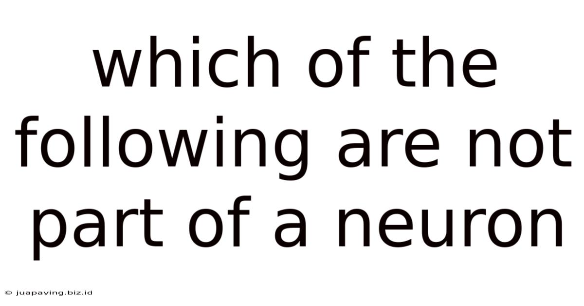 Which Of The Following Are Not Part Of A Neuron