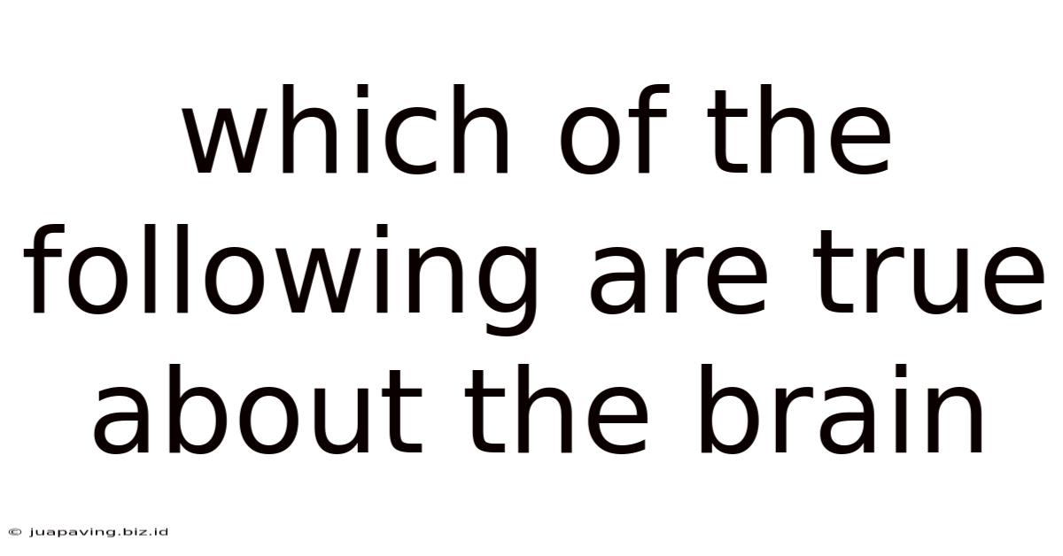 Which Of The Following Are True About The Brain