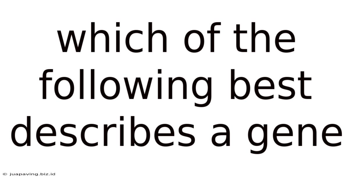 Which Of The Following Best Describes A Gene