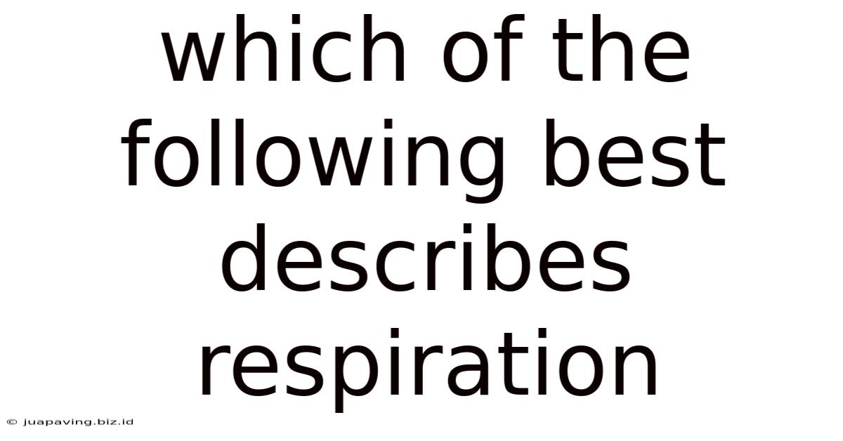 Which Of The Following Best Describes Respiration