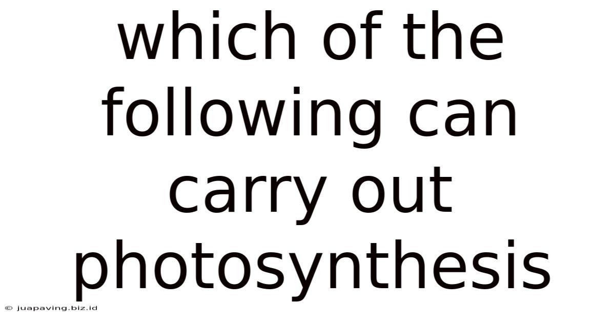 Which Of The Following Can Carry Out Photosynthesis