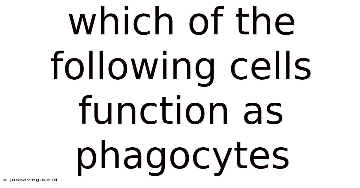 Which Of The Following Cells Function As Phagocytes