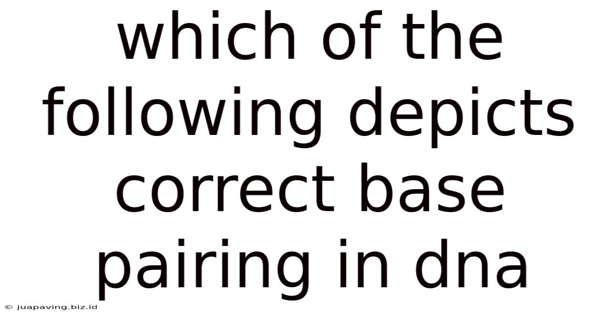 Which Of The Following Depicts Correct Base Pairing In Dna