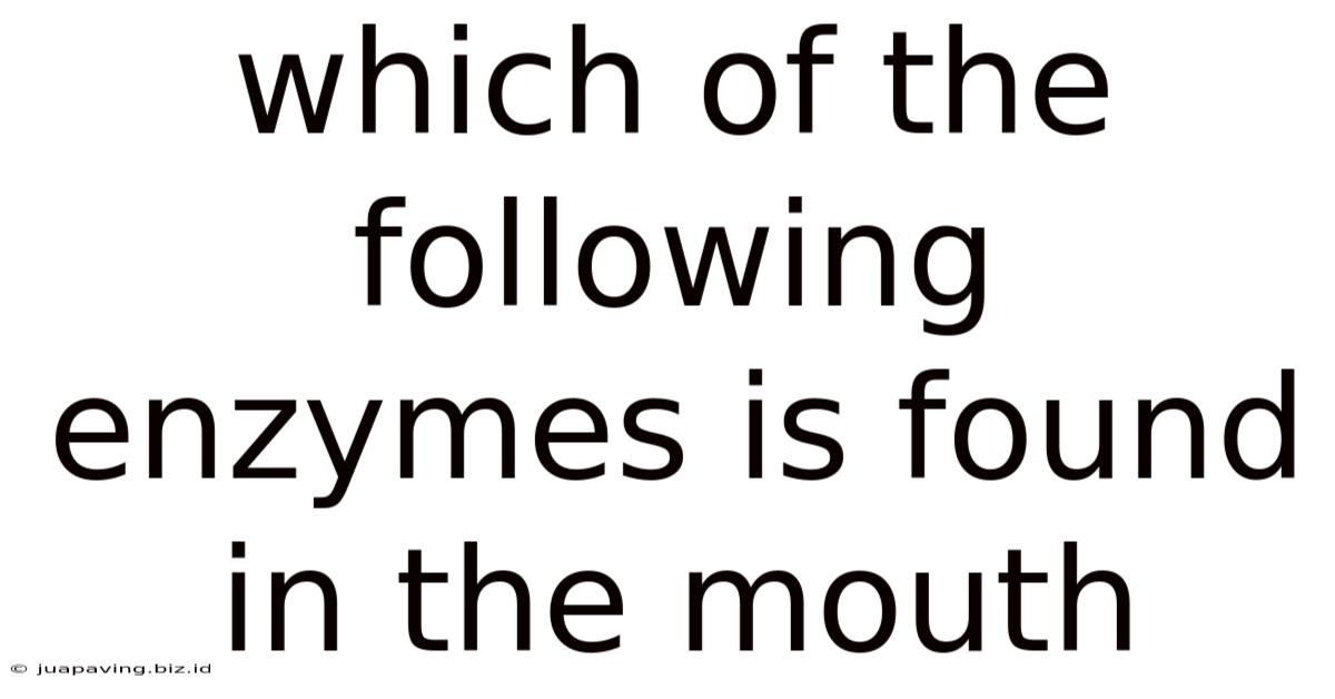 Which Of The Following Enzymes Is Found In The Mouth