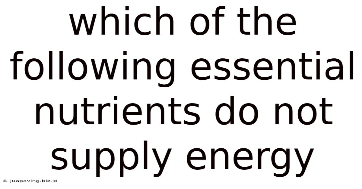 Which Of The Following Essential Nutrients Do Not Supply Energy