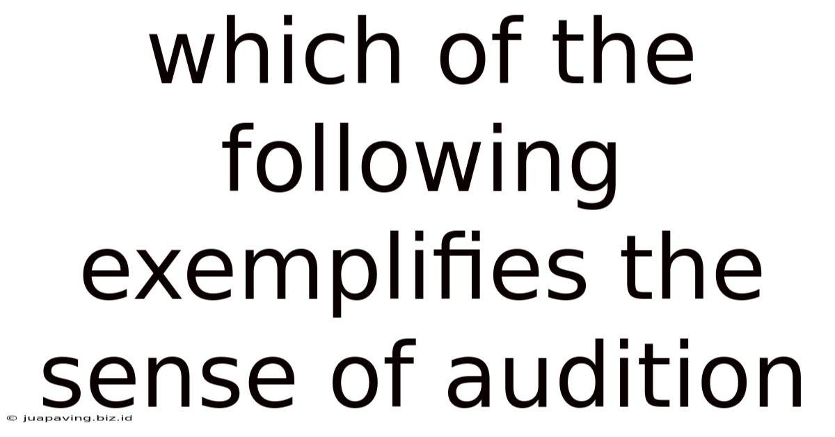 Which Of The Following Exemplifies The Sense Of Audition