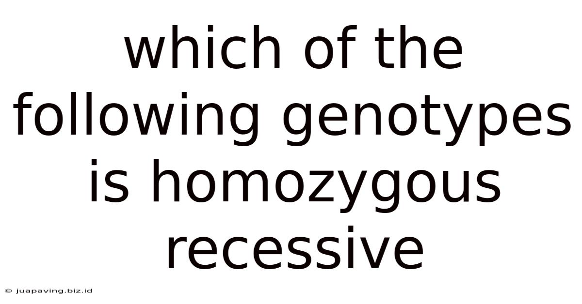 Which Of The Following Genotypes Is Homozygous Recessive