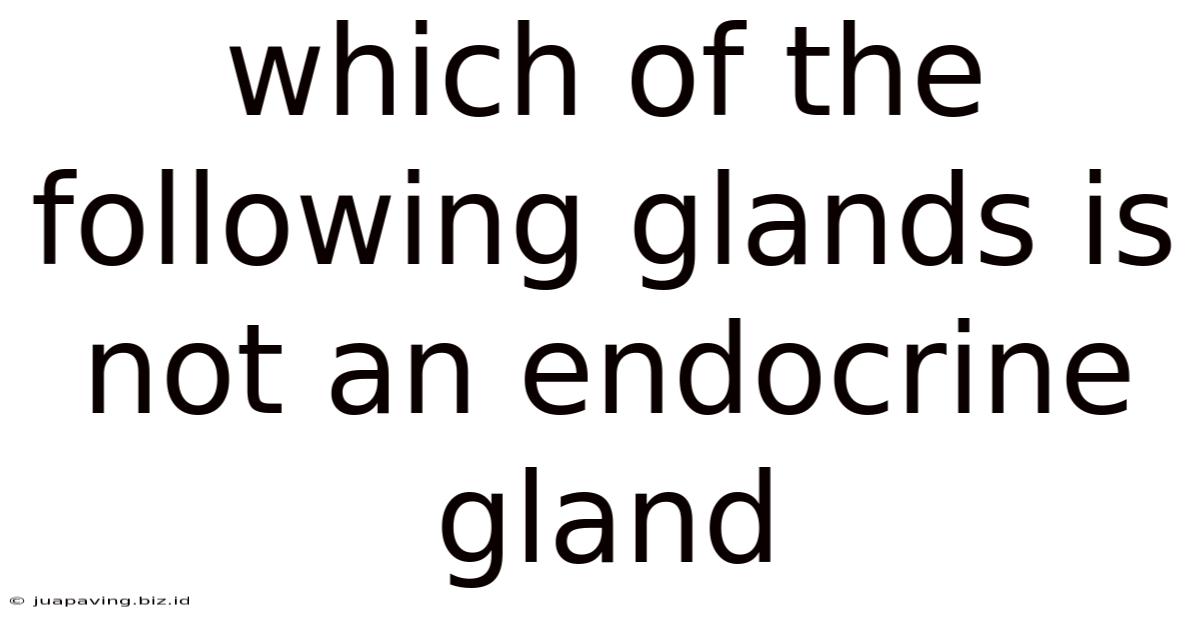 Which Of The Following Glands Is Not An Endocrine Gland