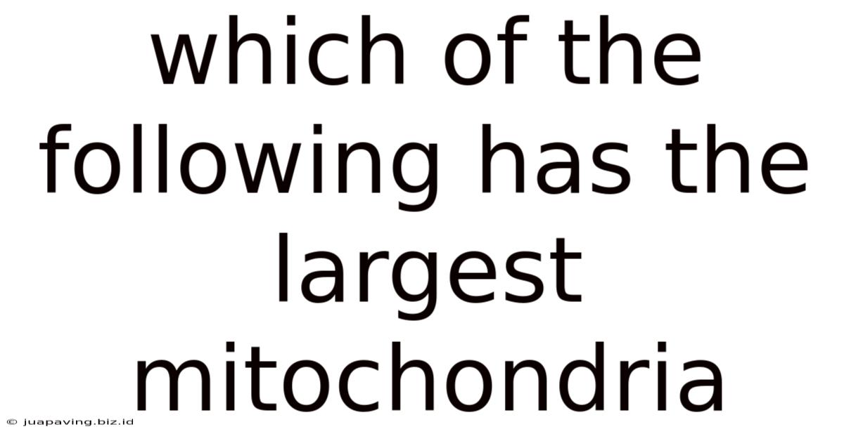 Which Of The Following Has The Largest Mitochondria