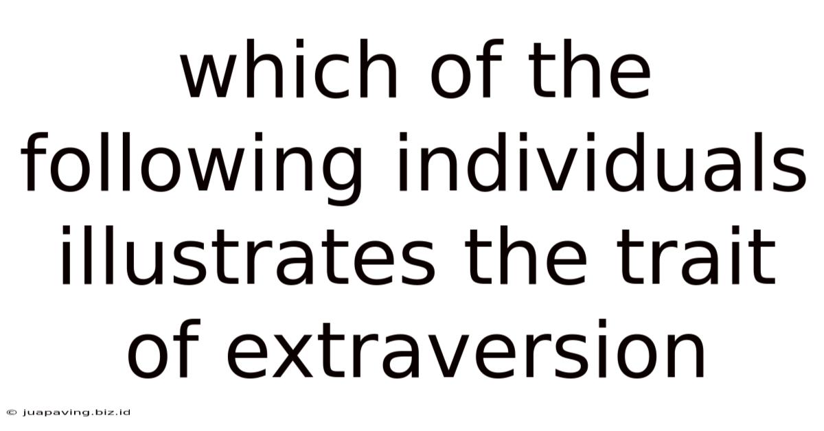 Which Of The Following Individuals Illustrates The Trait Of Extraversion