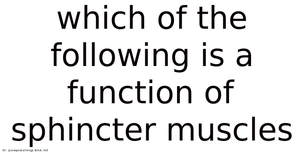 Which Of The Following Is A Function Of Sphincter Muscles