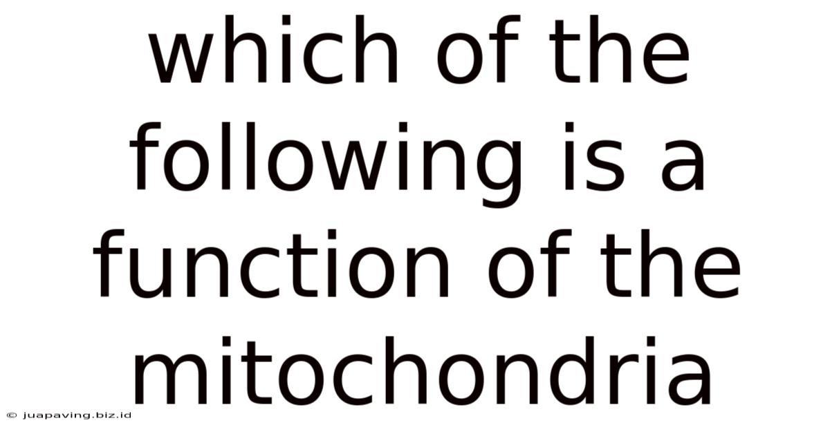 Which Of The Following Is A Function Of The Mitochondria