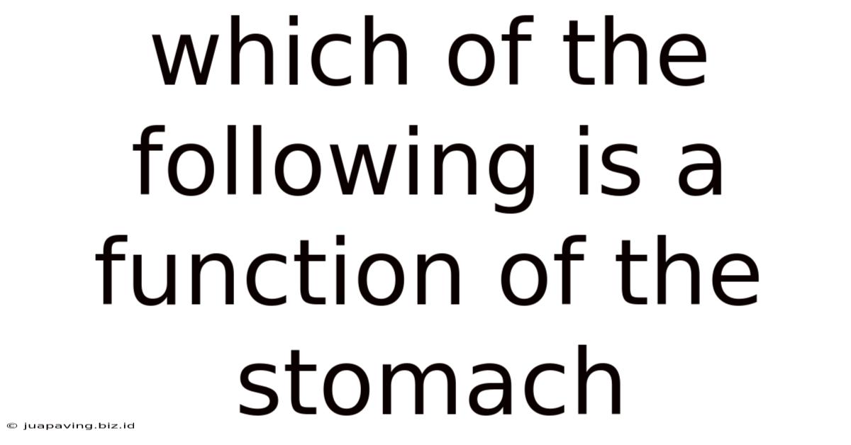 Which Of The Following Is A Function Of The Stomach