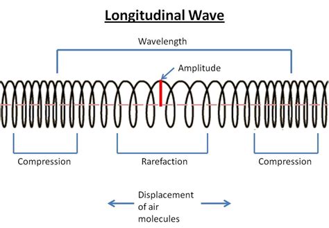 Which Of The Following Is A Longitudinal Wave