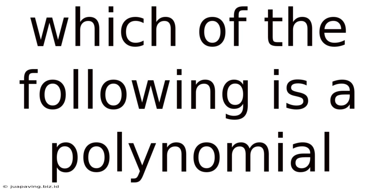 Which Of The Following Is A Polynomial