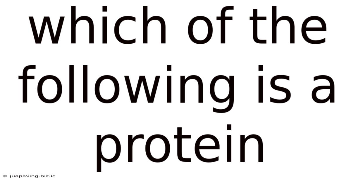 Which Of The Following Is A Protein