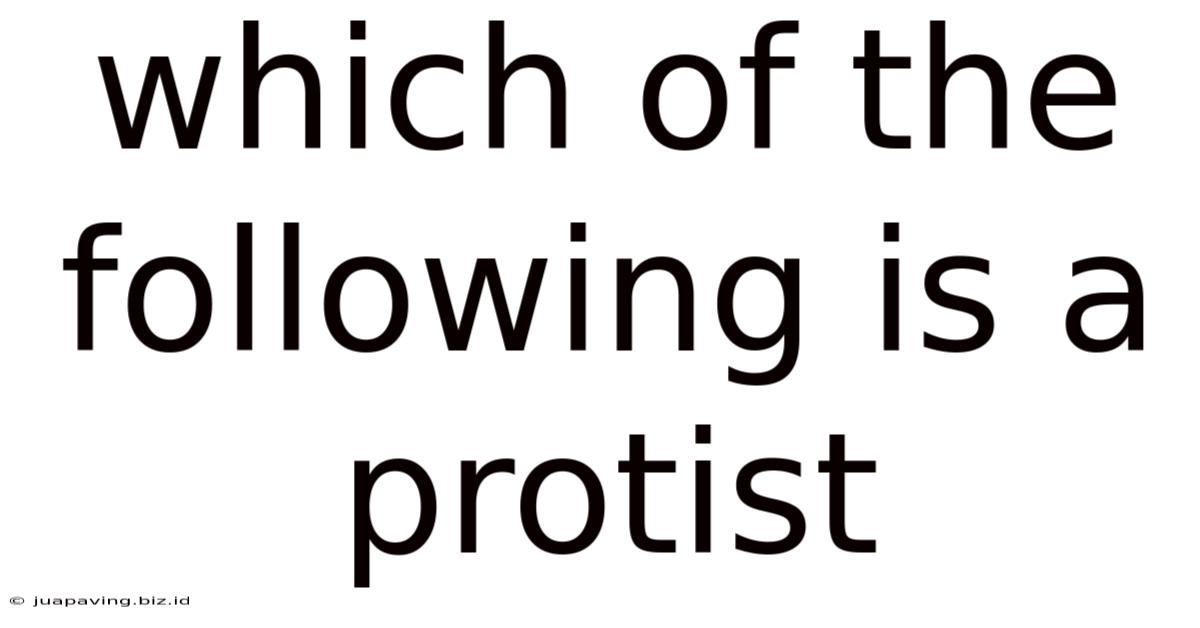 Which Of The Following Is A Protist