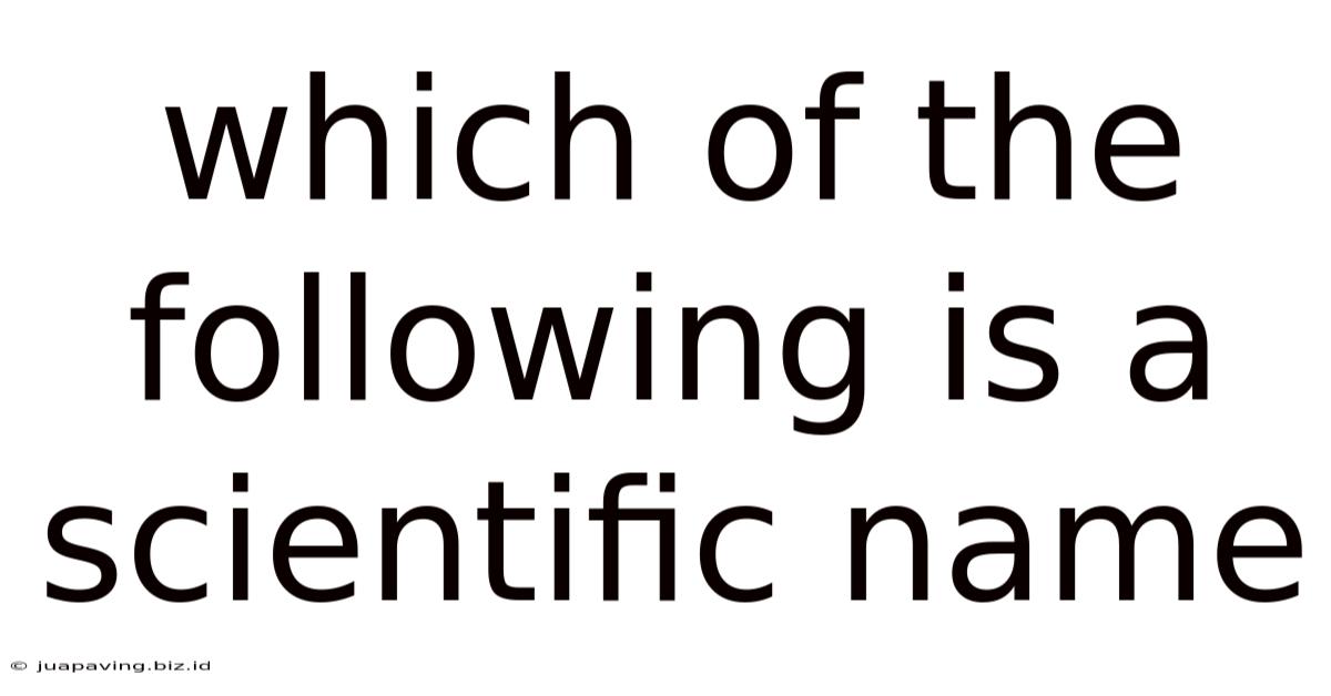Which Of The Following Is A Scientific Name
