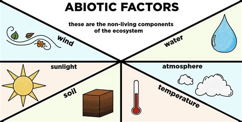 Which Of The Following Is Abiotic Factor